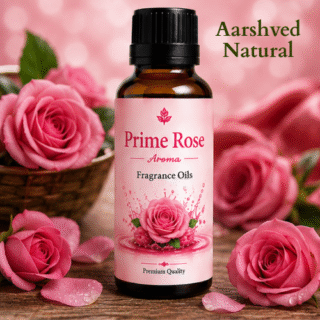 Prime Rose